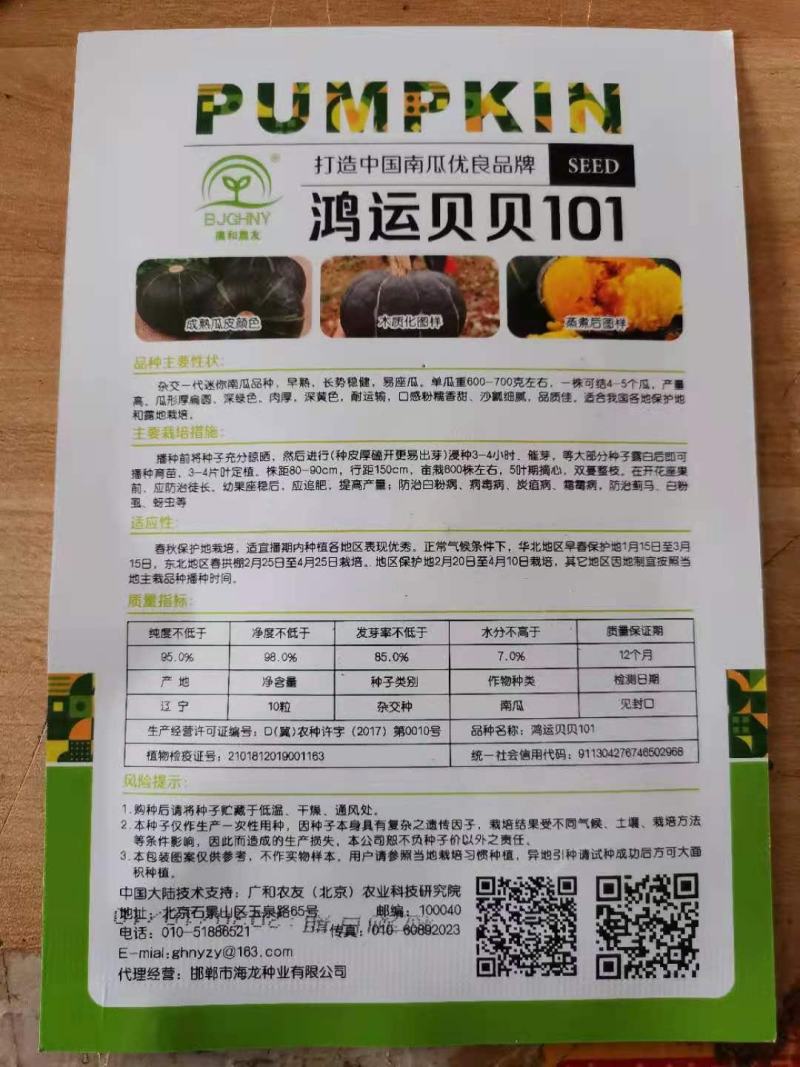 【店家推荐】贝贝南瓜种子（韩育+日系）杂交品潍坊昌乐