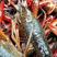 【推荐】潜江市清水小龙虾，规格齐全，底板干净，肉质饱满