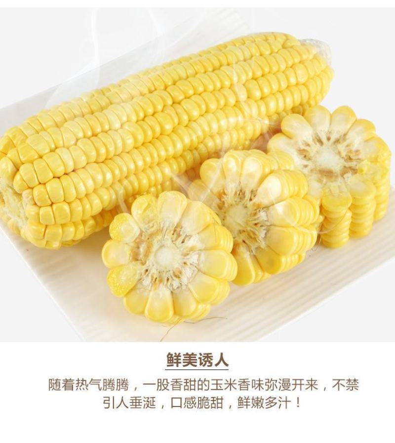 当季现摘广东生吃新鲜带皮，水果甜玉米早餐蔬菜批发玉米包邮