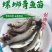 【2023新苗】青鱼鱼苗青鱼苗黑鲩鱼苗螺丝青鱼苗