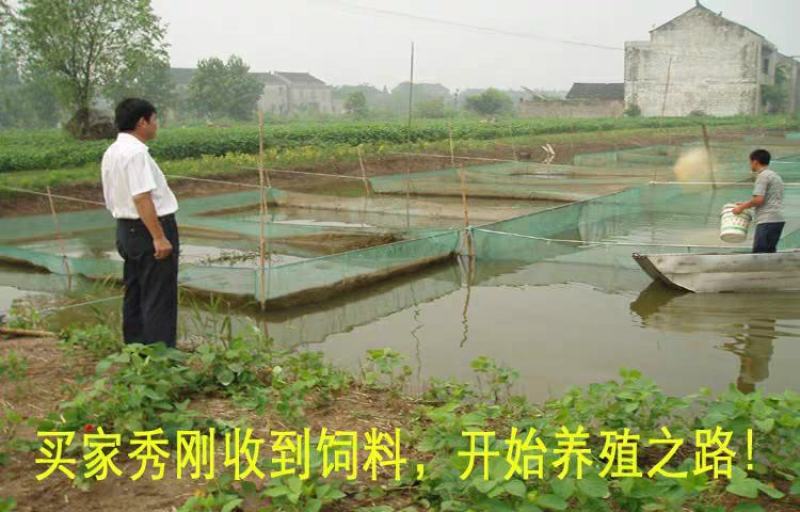 通威鱼饲料水库养殖鱼塘养殖小颗粒浮料沉底料草鱼鲤鱼鲫鱼花