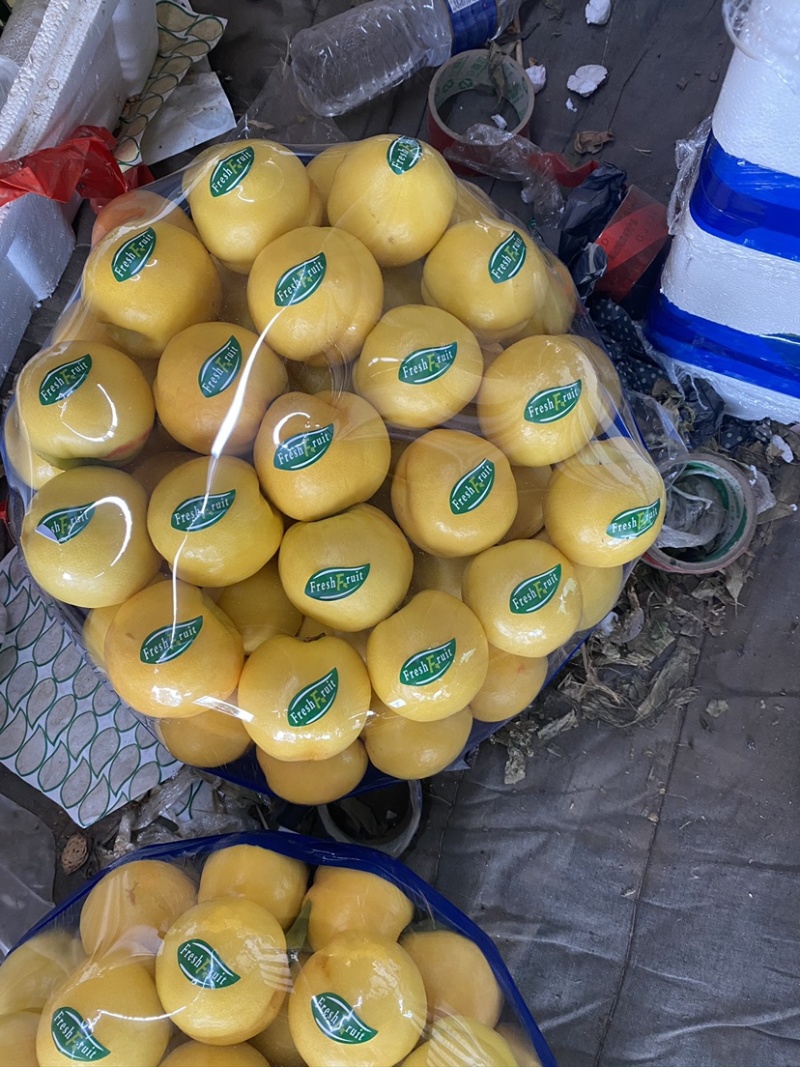 露天油桃黄油桃黄蟠桃各种油桃毛桃蟠桃大量有货