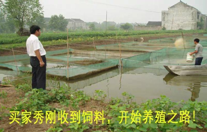 通威鱼饲料原塘正品高蛋白小颗粒浮料黑坑养殖鲤鲫草鱼饲料