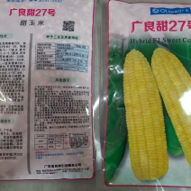 广良甜27号甜玉米种子