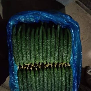 黄瓜，密刺黄瓜绿色无公害绿色食品，口感好，颜色绿，品质好
