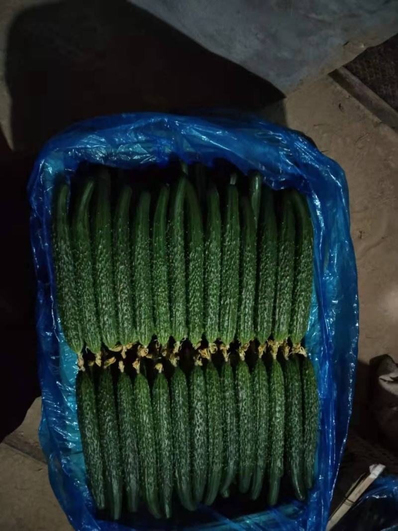 黄瓜，密刺黄瓜绿色无公害绿色食品，口感好，颜色绿，品质好