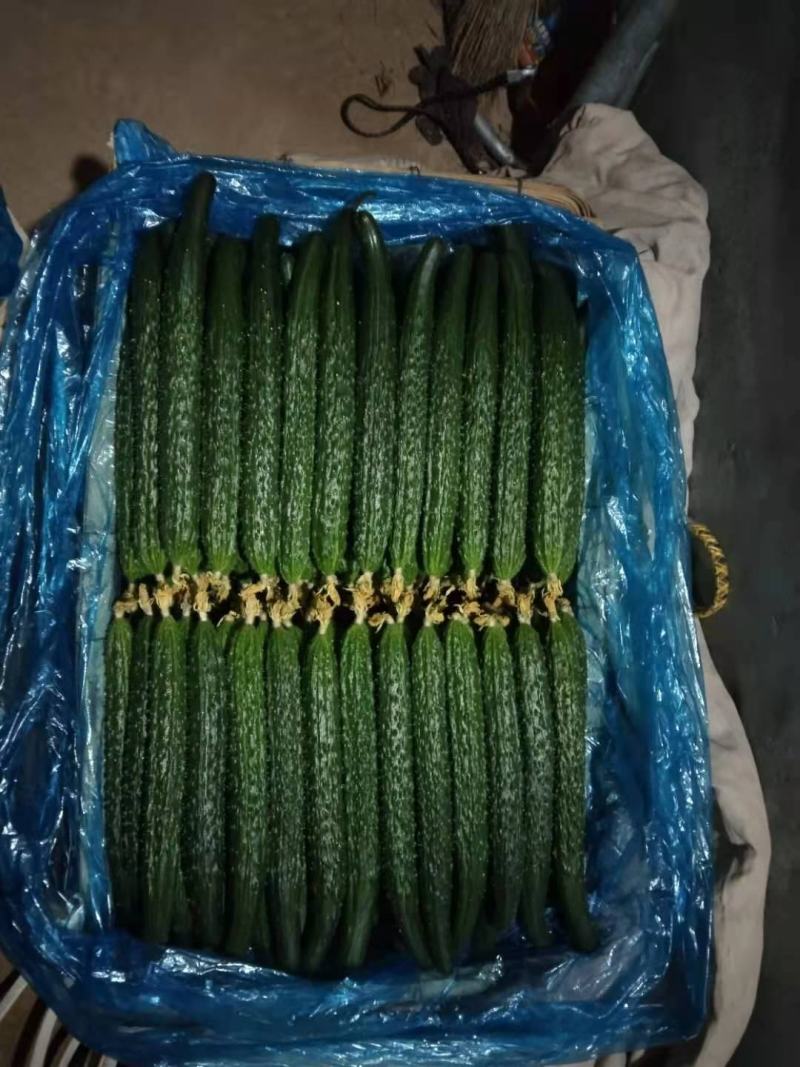 黄瓜，密刺黄瓜绿色无公害绿色食品，口感好，颜色绿，品质好