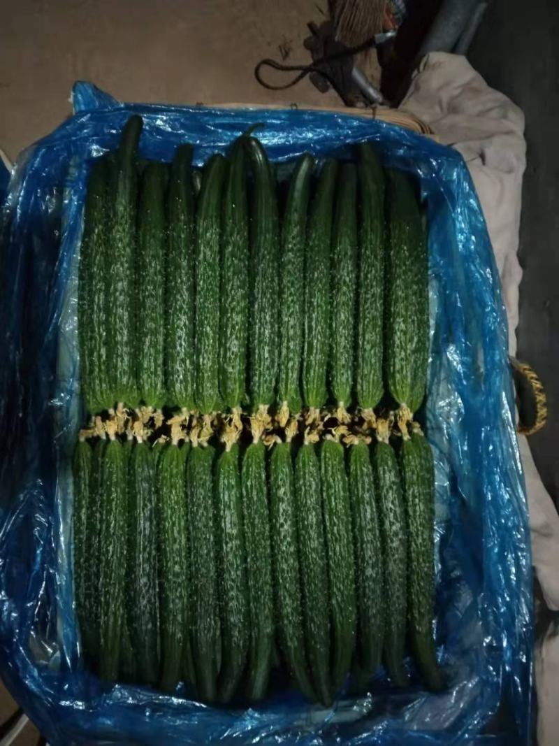 黄瓜，密刺黄瓜绿色无公害绿色食品，口感好，颜色绿，品质好