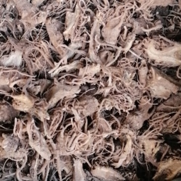 芹菜根，水洗干货，无土，无杂质