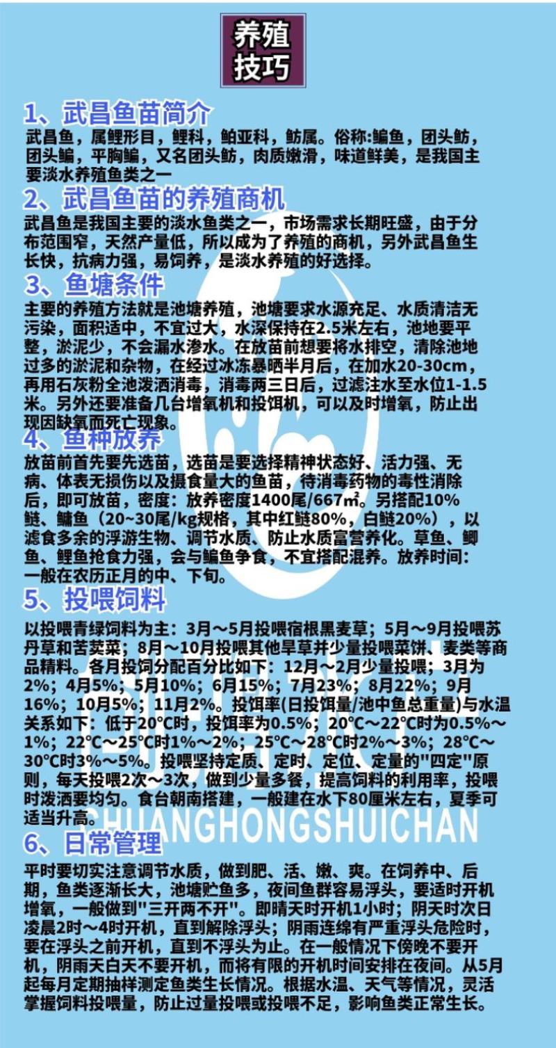 【2023新苗】武昌鱼鱼苗团头鲂缩项鳊鱼武昌鱼水花