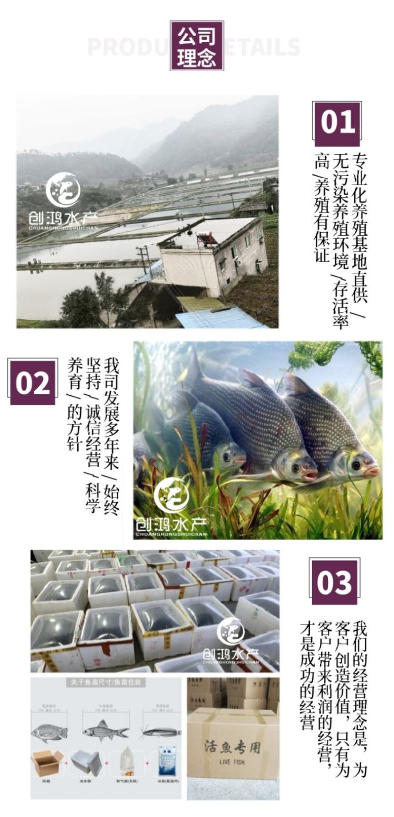 【2023新苗】武昌鱼苗团头鲂鱼苗三角鲂武昌鱼水花