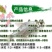 【2023新苗】武昌鱼苗团头鲂鱼苗三角鲂武昌鱼水花