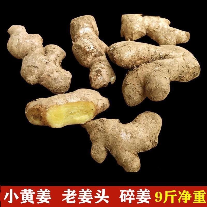 云南文山优质小黄姜姜母云南小黄姜姜母姜种老姜头生姜包邮批