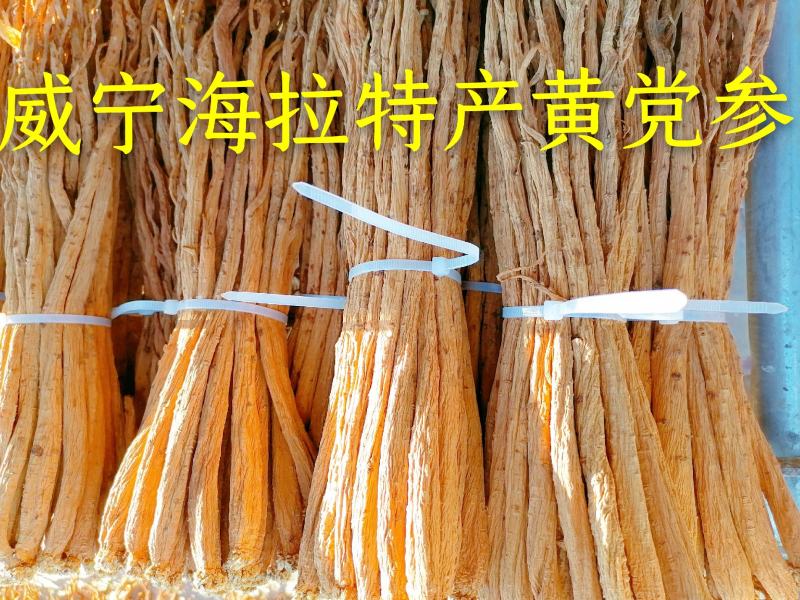 党参贵州威宁海拉镇特产产地直销是药材是煮品