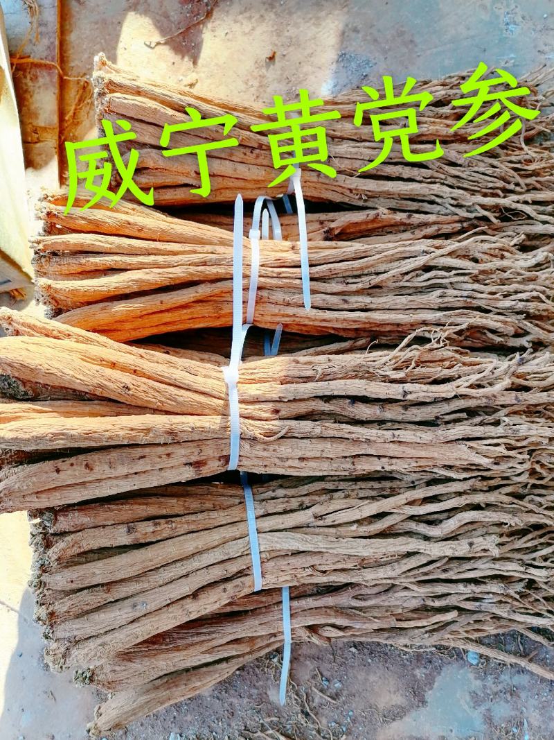农家新鲜黄党参天然药食俩用补品是煮汤佳品