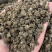 猫爪草无硫优质猫爪草水洗货干净带抓药方