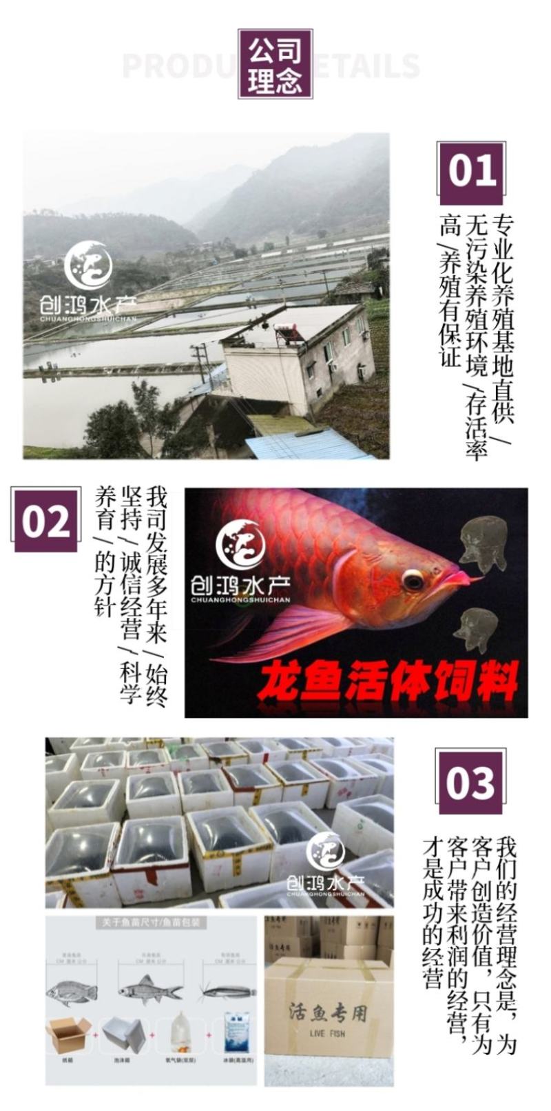 【2023新苗】中华龟鳖苗甲鱼苗水鱼苗外塘精养
