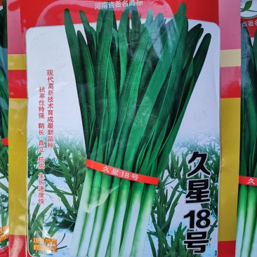 久星18号韭菜种子不休眠耐寒宽叶韭菜种原袋发货250克装