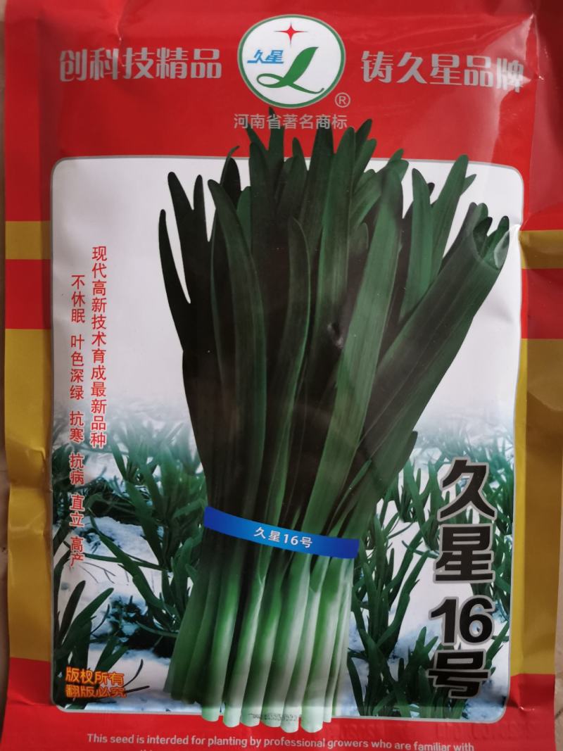 久星18号韭菜种子不休眠耐寒宽叶韭菜种原袋发货250克装