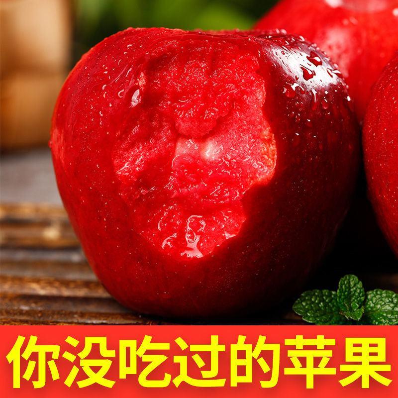 新品无核红肉苹果苗苹果苗南方北方都可种植红富士苹果苗