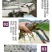 【2023新苗】澳洲淡水小龙虾苗淡水龙虾红鳌鳌虾苗