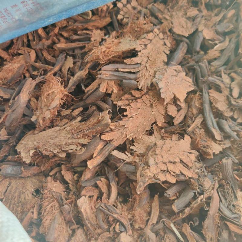 贯众贯节惯众中药材贯渠百头虎卷黑狗脊贯仲