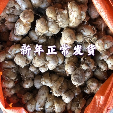 正宗广东沙姜白切鸡配料去腥入味支持一件代发