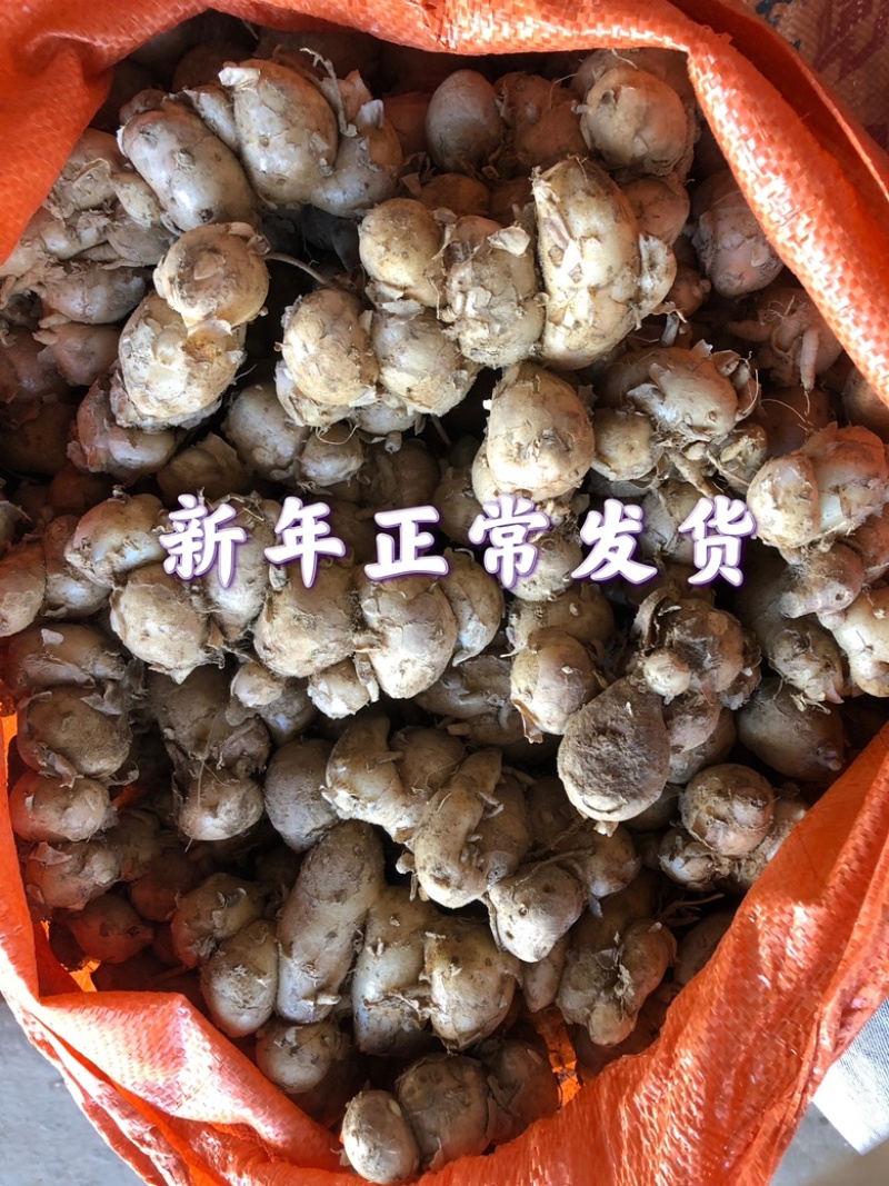 正宗广东沙姜白切鸡配料去腥入味支持一件代发