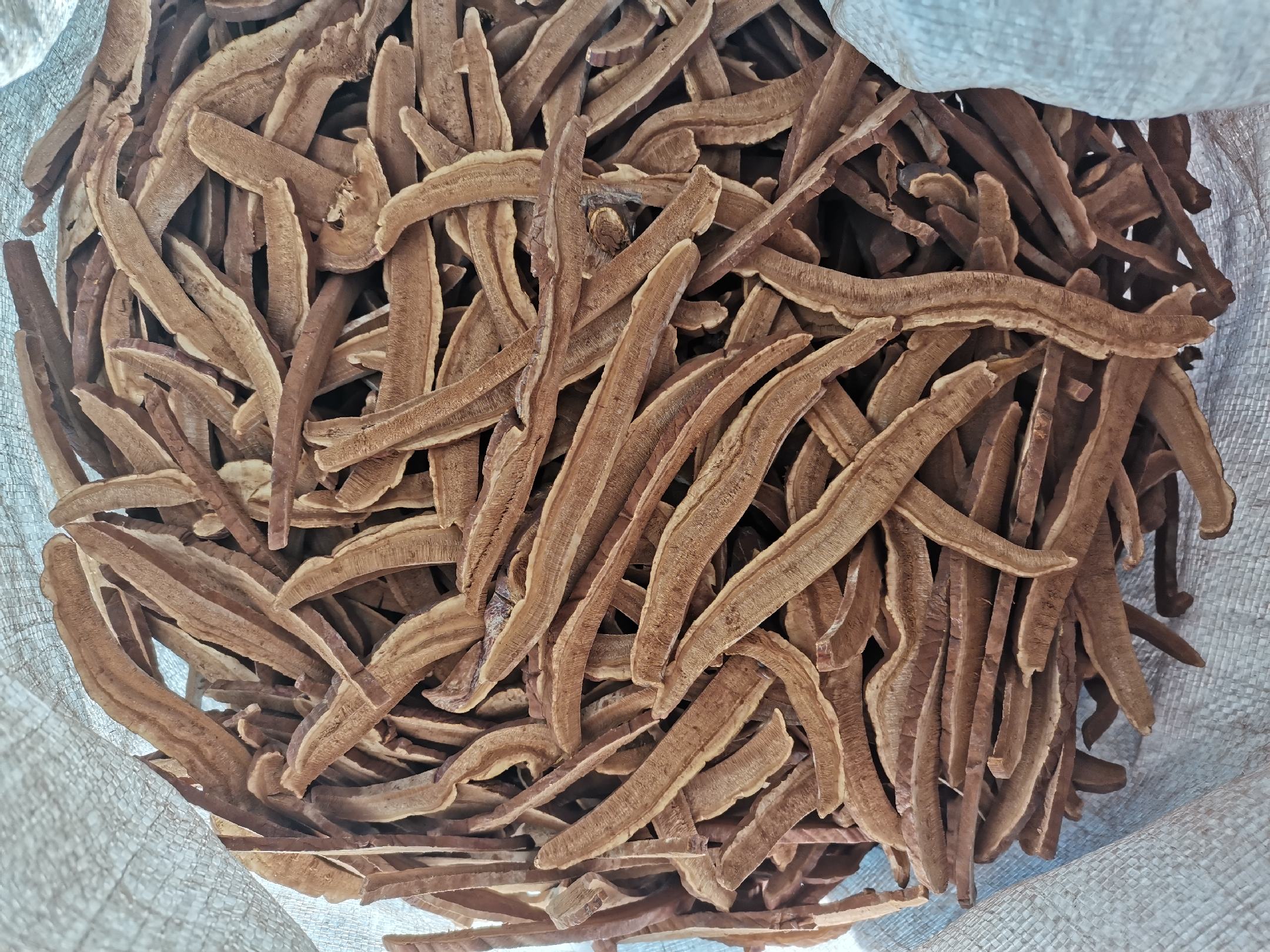 灵芝切片过程图