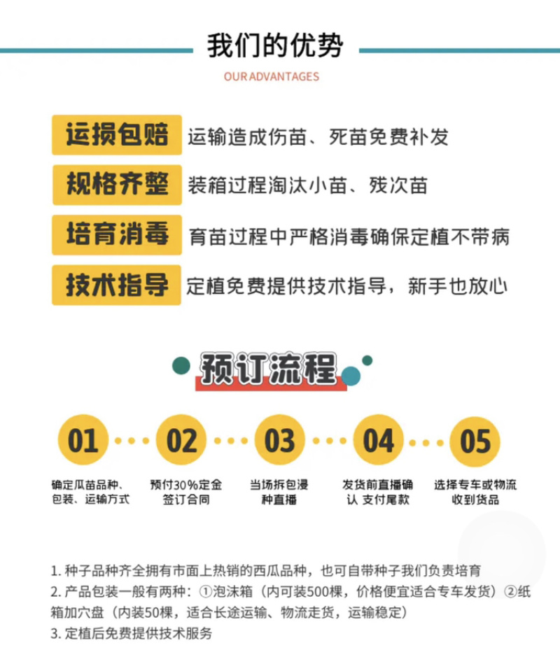 【精选】美都一级嫁接西瓜苗，苗场直供，抗病高产