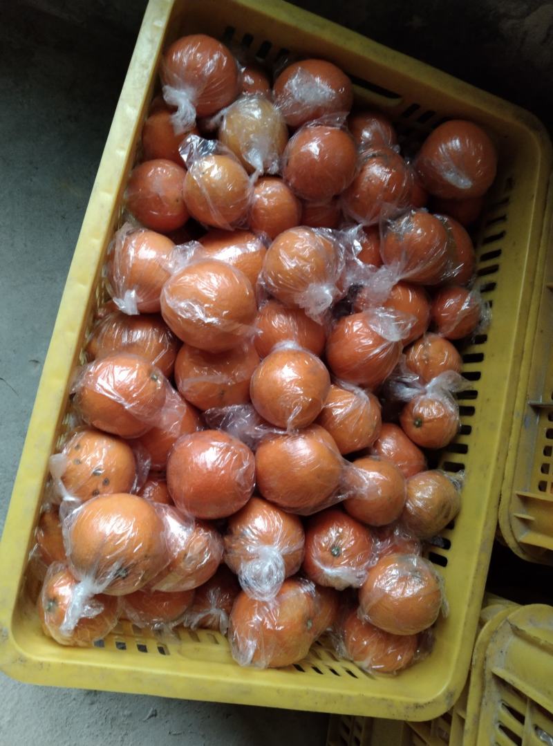 供应高二次果、电商果、榨汁果