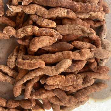 雅安特产土耳苕独特味道需要联系大量现货