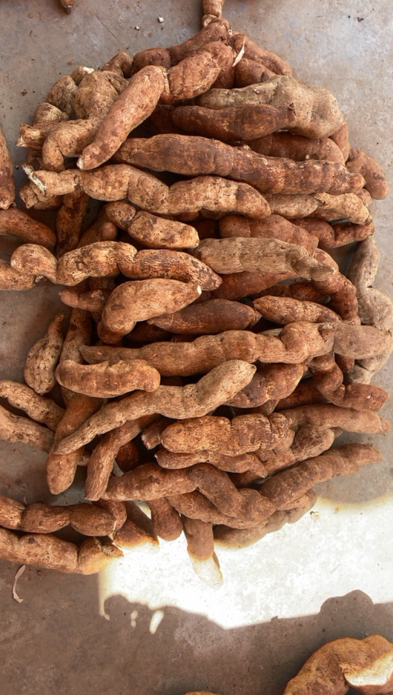 雅安特产土耳苕独特味道需要联系大量现货