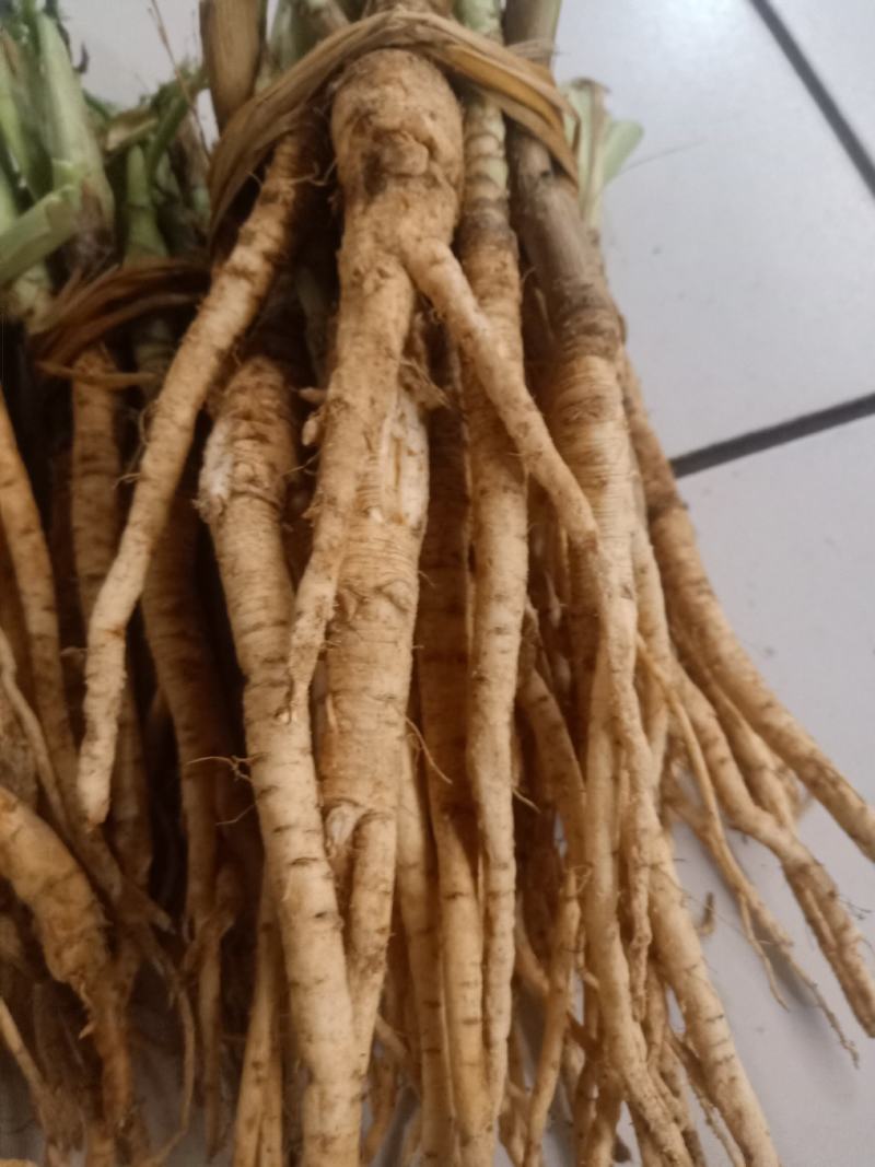 云南普洱茴香根_鲜货_炖鸡、炖排骨等_包邮