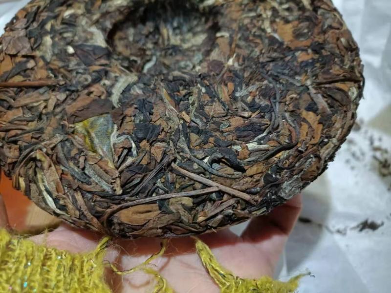 古树白茶整提出售【守己】选用2020年勐宋古树原料制作