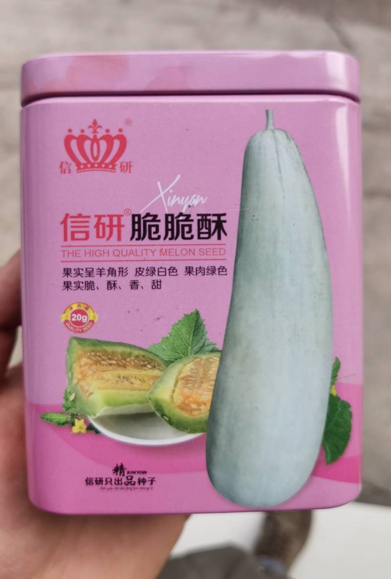 羊角蜜甜瓜种子羊角脆甜瓜种籽山东羊角酥种孑羊角蜜甜种子