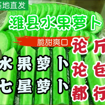 水果潍县萝卜，一级货，青萝卜个个青茬，不糠，产地现货