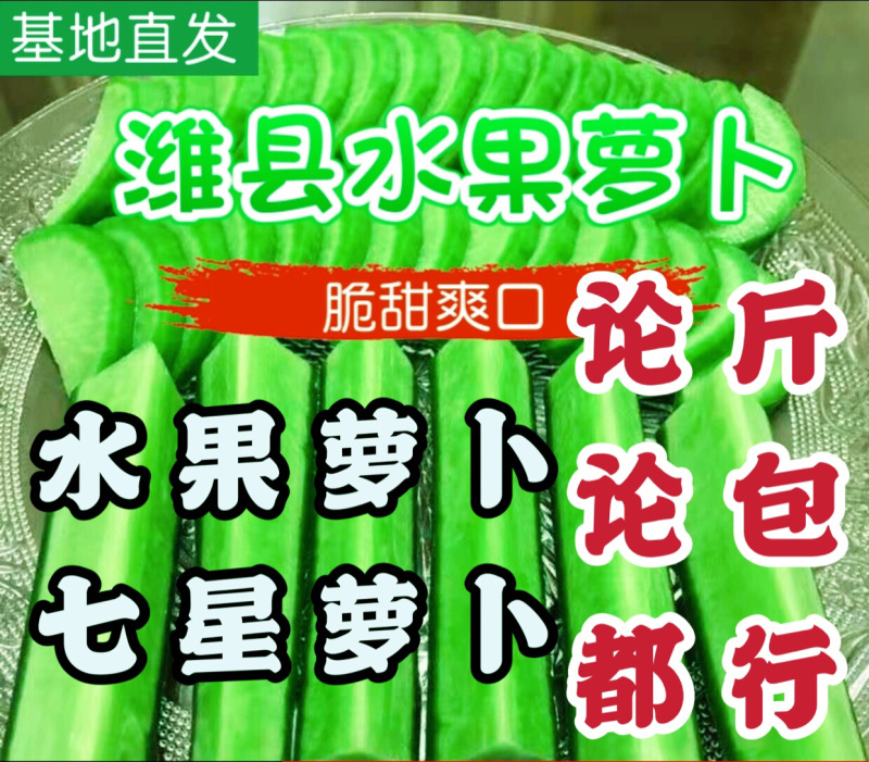 水果潍县萝卜，一级货，青萝卜个个青茬，不糠，产地现货