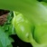 涪陵榨菜优质鲜货物品品牌质量