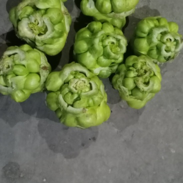 涪陵榨菜优质鲜货物品品牌质量