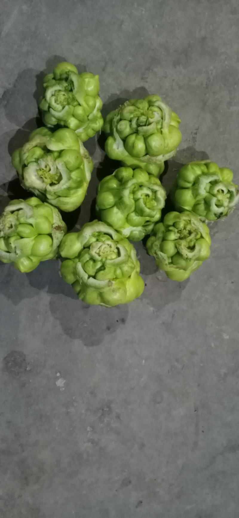 涪陵榨菜优质鲜货物品品牌质量