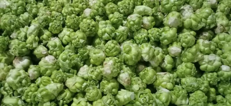 涪陵榨菜优质鲜货物品品牌质量