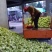 涪陵榨菜优质鲜货物品品牌质量