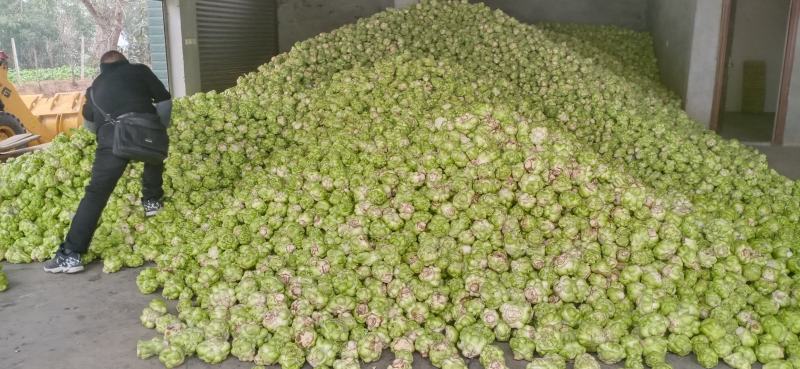 涪陵榨菜优质鲜货物品品牌质量
