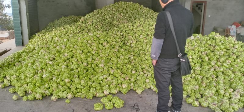 涪陵榨菜优质鲜货物品品牌质量