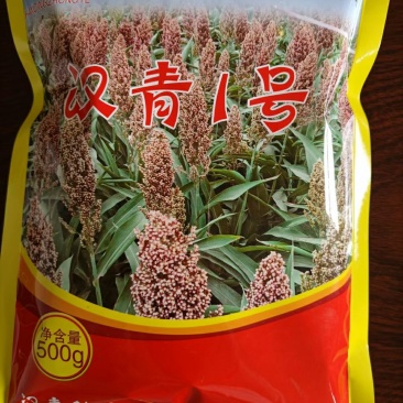 河北汉青种业有限公司—汉青一号生育期103-113天