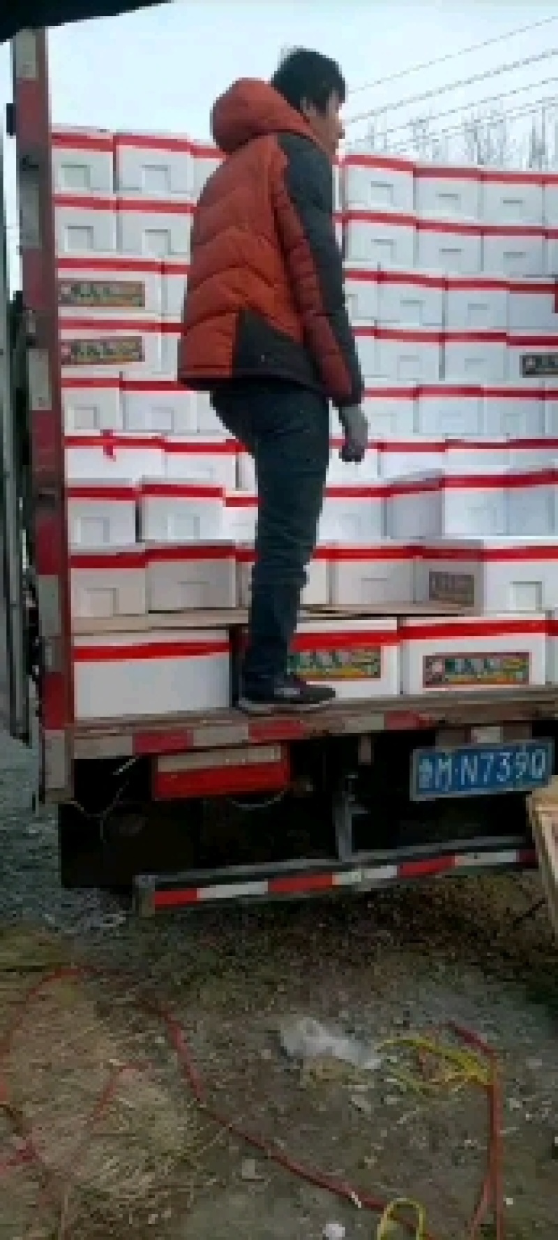 羊角蜜甜瓜博洋甜瓜大量现货精品羊角蜜甜瓜