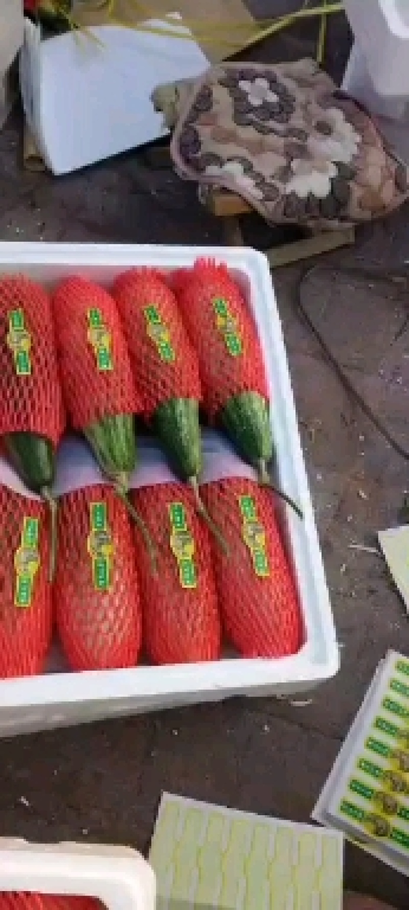 羊角蜜甜瓜博洋甜瓜大量现货精品羊角蜜甜瓜