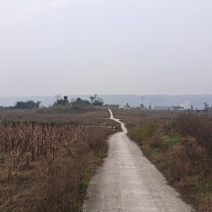 土地出租，土地平整，交通方便
