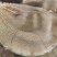 水牛大叶片可贴牌（10件起售足秤足量）